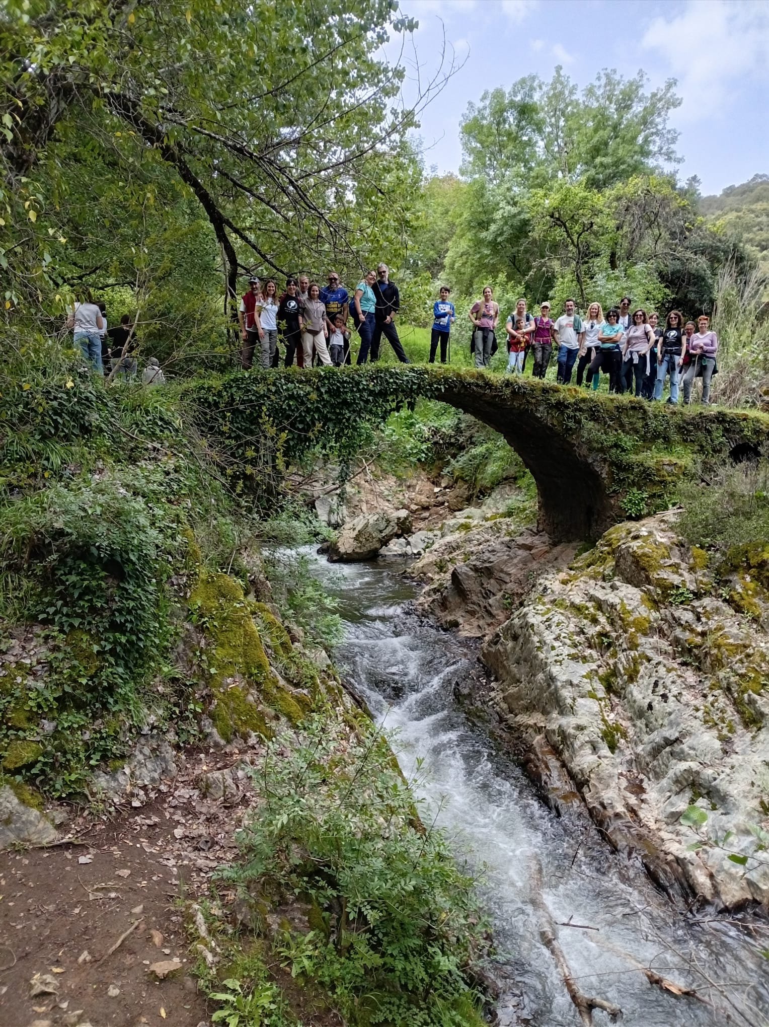 Foto de la galería